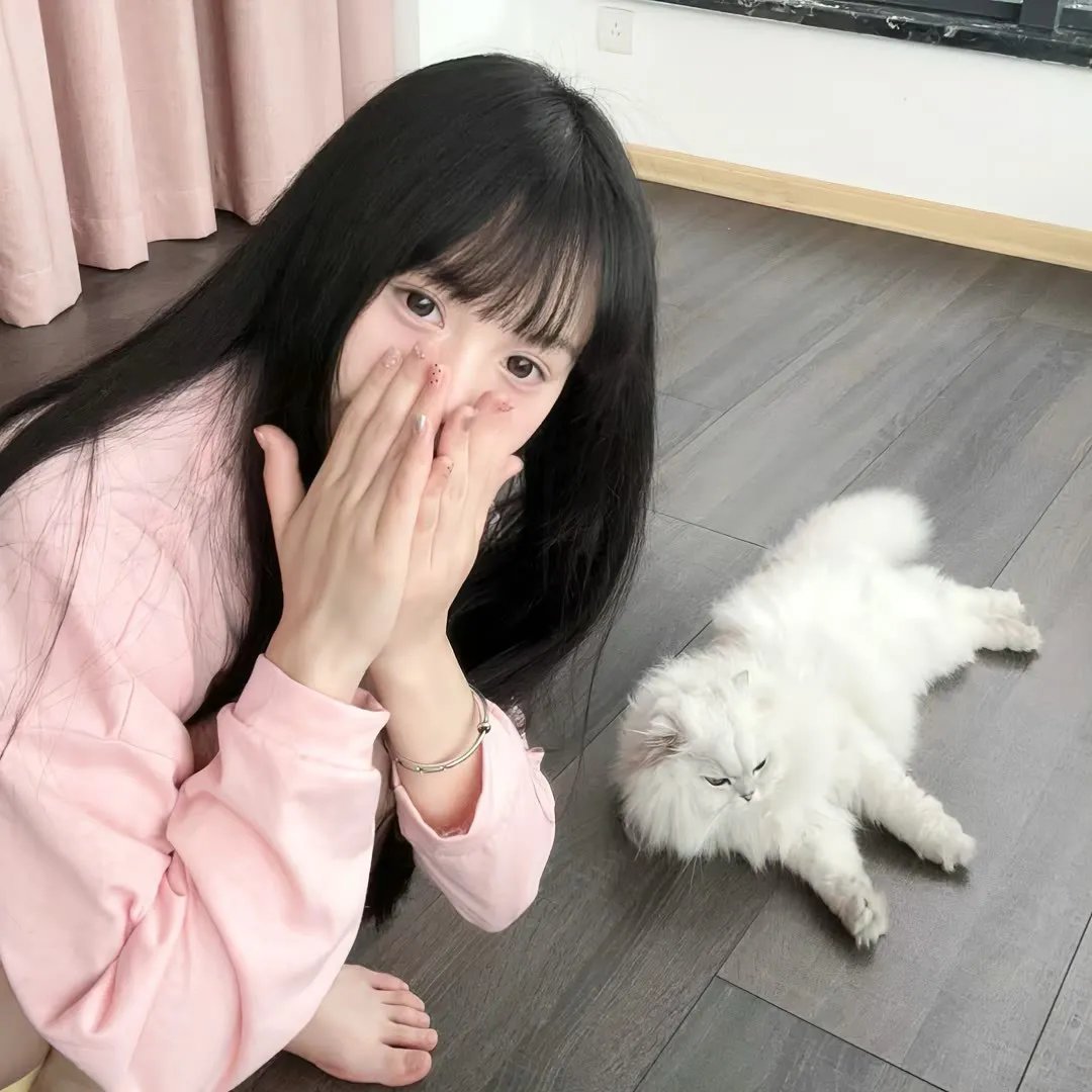 女婿驾到，通通闪开