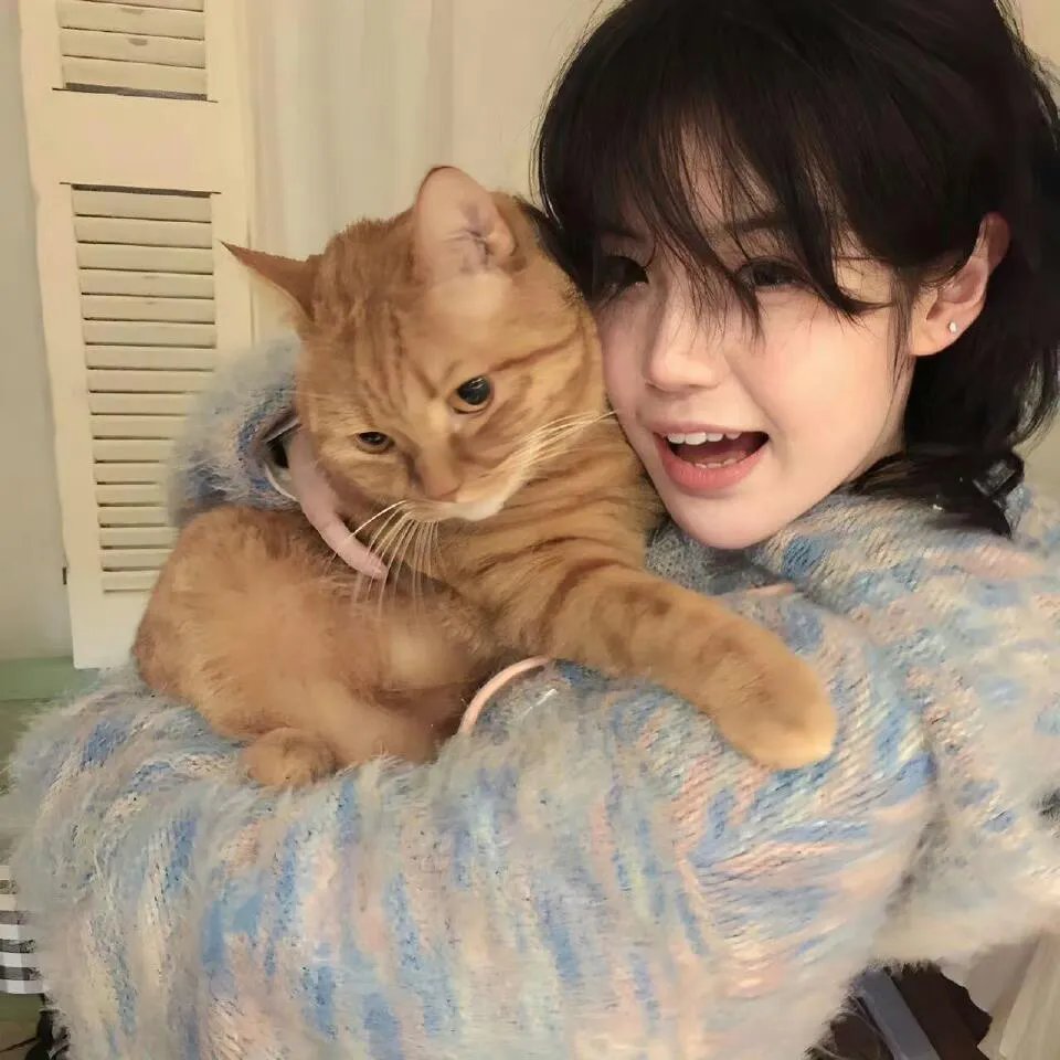 空中浩劫第十一季